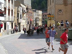 Encierro en Molinicos.