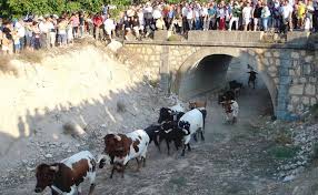 Encierros en Nerpio.