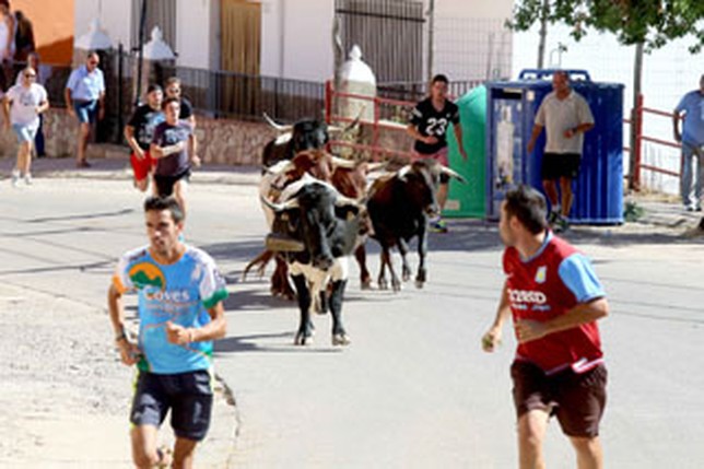 Encierro en Paterna del Madera.