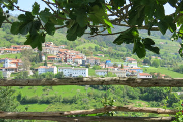 Vista de Cabranes.