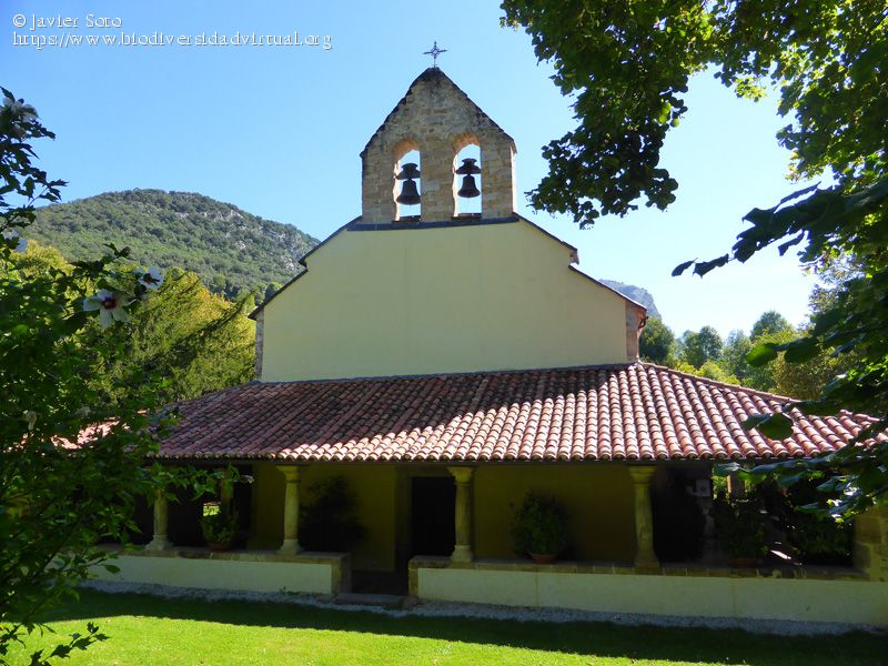 Iglesia en Cabrales.