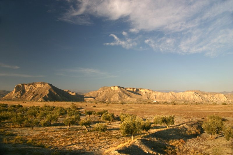 Desierto en Tabernas.