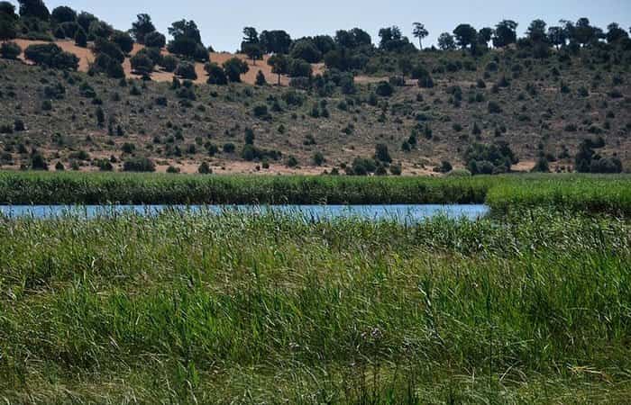 Laguna de los Ojos de Villaverde en Robledo.