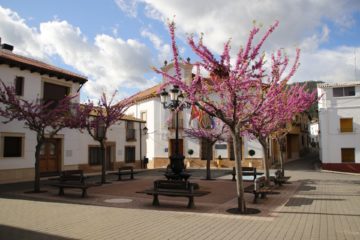 Villaverde del Guadalimar.