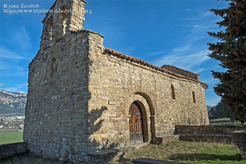 Iglesia en Avià.