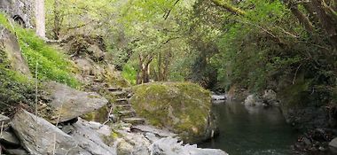 Parque natural Montseny en Fogás de Monclús.