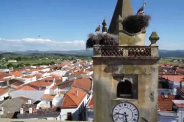 Vista de Higuera la Real.