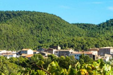 Vista de La Llacuna.