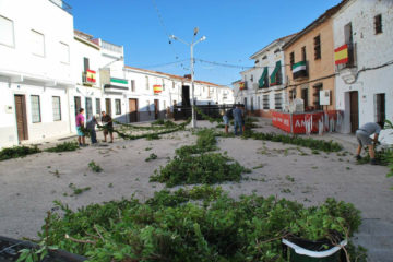 Qué ver en Tamurejo.