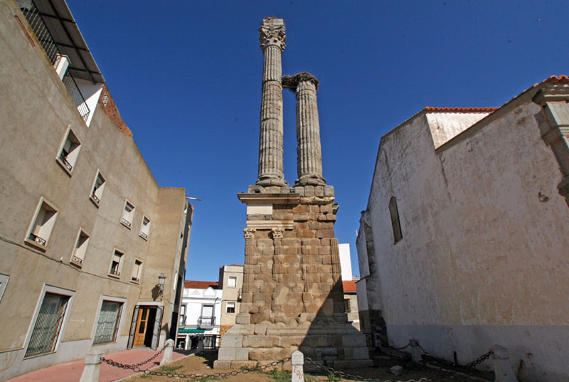 Dístylo en Zalamea de la Serena.